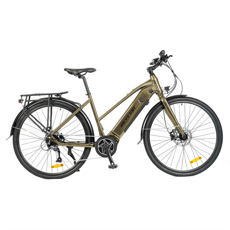 China Supplier OEM 24 Inch Electric Bicycle with 1000Wh Battery and 32Km/h Speed
