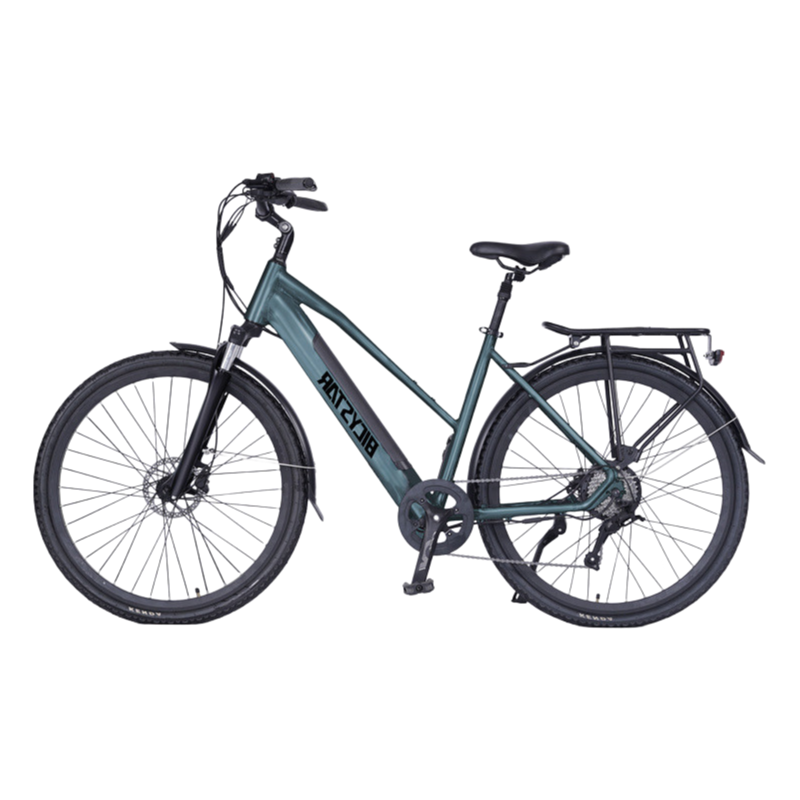 China Supplier OEM 24 Inch Electric Bicycle with 1000Wh Battery and 32Km/h Speed