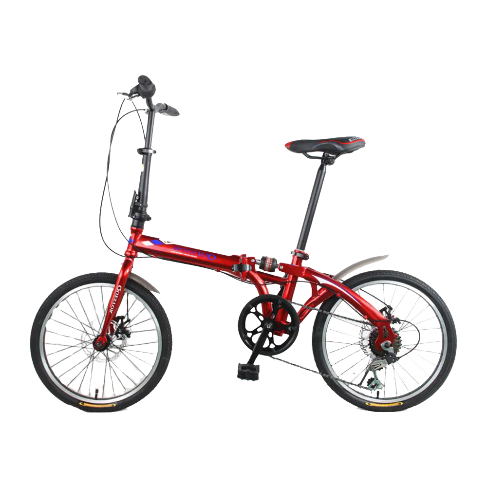 Wholesale Price 20 Inch Folding Bike with 21 Speed Gear System and Front Rear Disc Brake