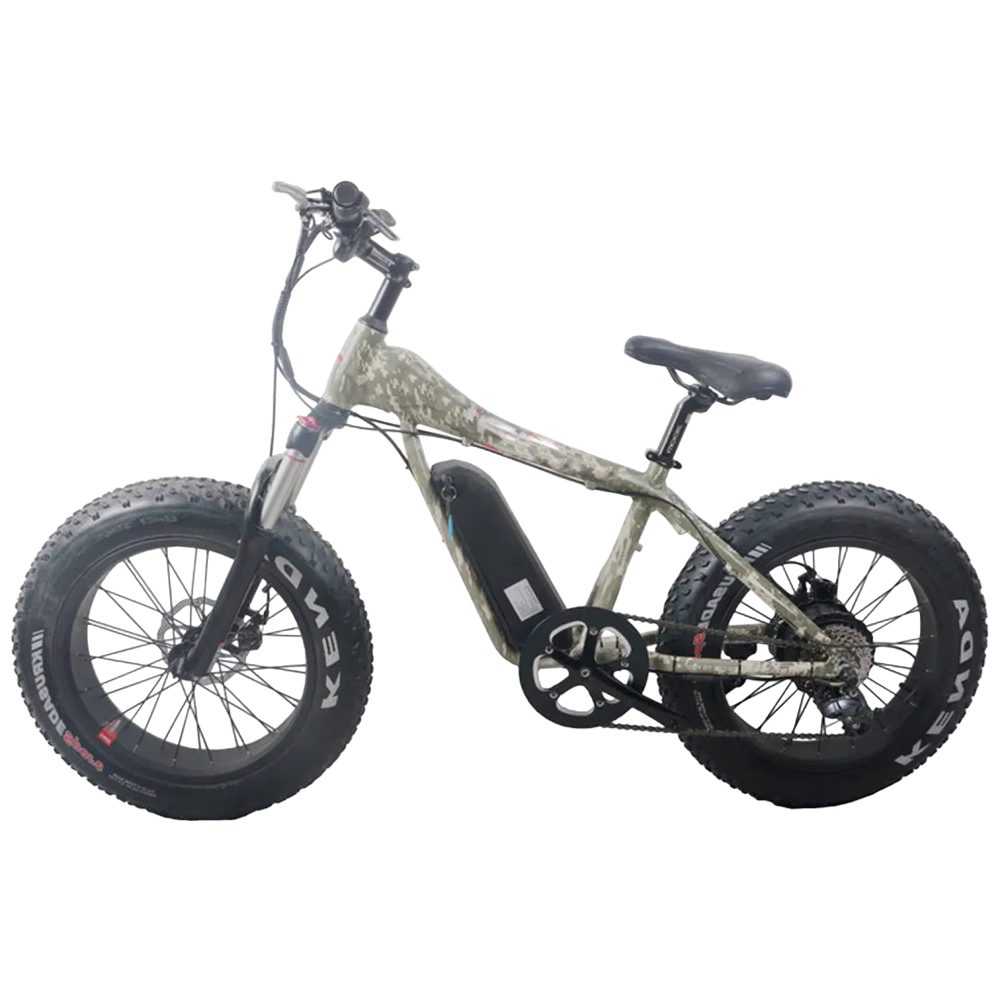 Affordable Fat Tire E-Bike with 31-60km Range and Multiple Color Options for OEM