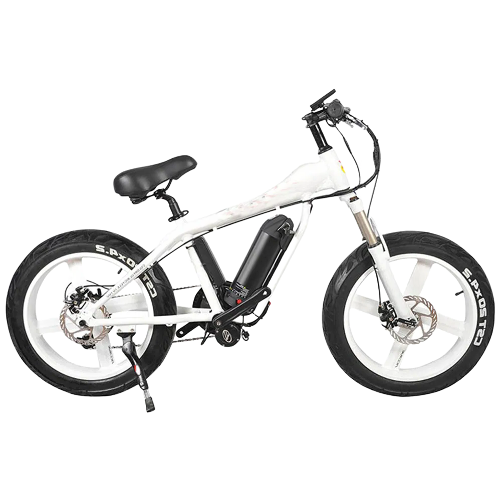 Affordable Fat Tire E-Bike with 31-60km Range and Multiple Color Options for OEM