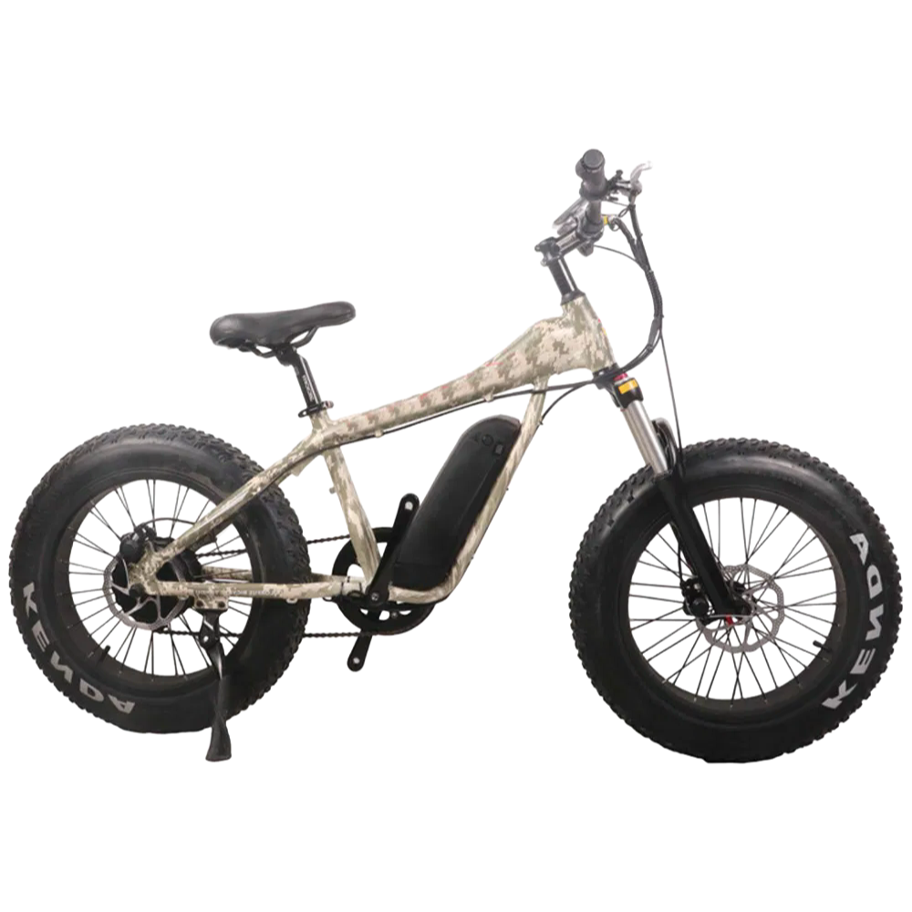 Affordable Fat Tire E-Bike with 31-60km Range and Multiple Color Options for OEM