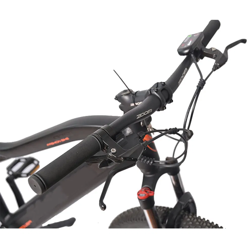 Custom OEM Electric Mountain Bike with 250W Motor and 31-60km Range per Charge