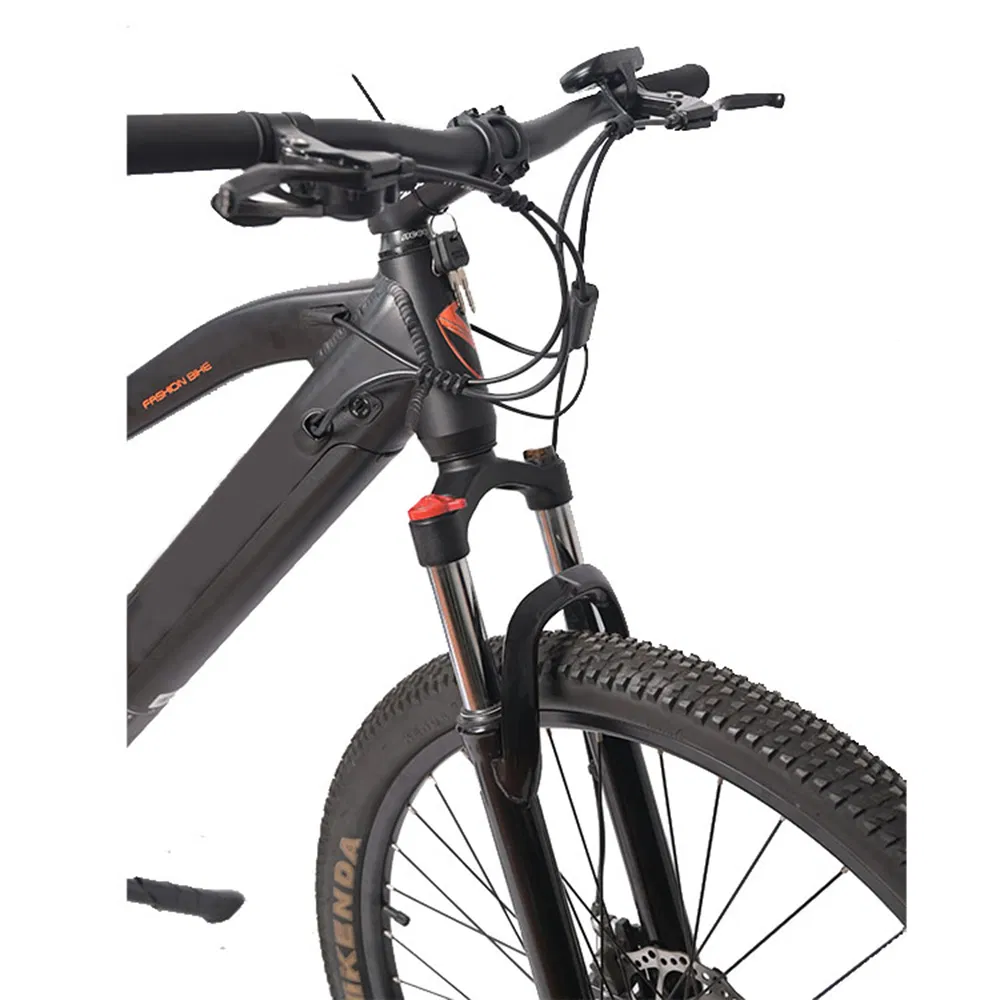 Custom OEM Electric Mountain Bike with 250W Motor and 31-60km Range per Charge