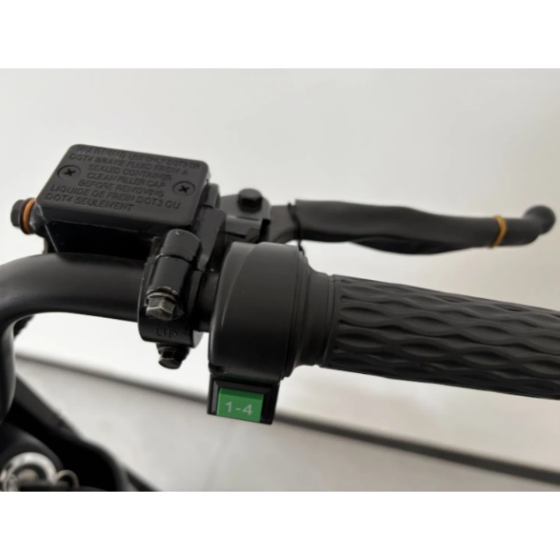 Bulk Order 48V 500W Electric Bicycle with High Carbon Steel Frame and Rear Hub Motor