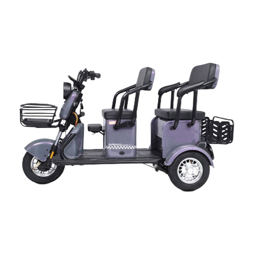 Wholesale OEM/ODM Electric Tricycle with Lead Acid/Lithium Battery 35-45km Range