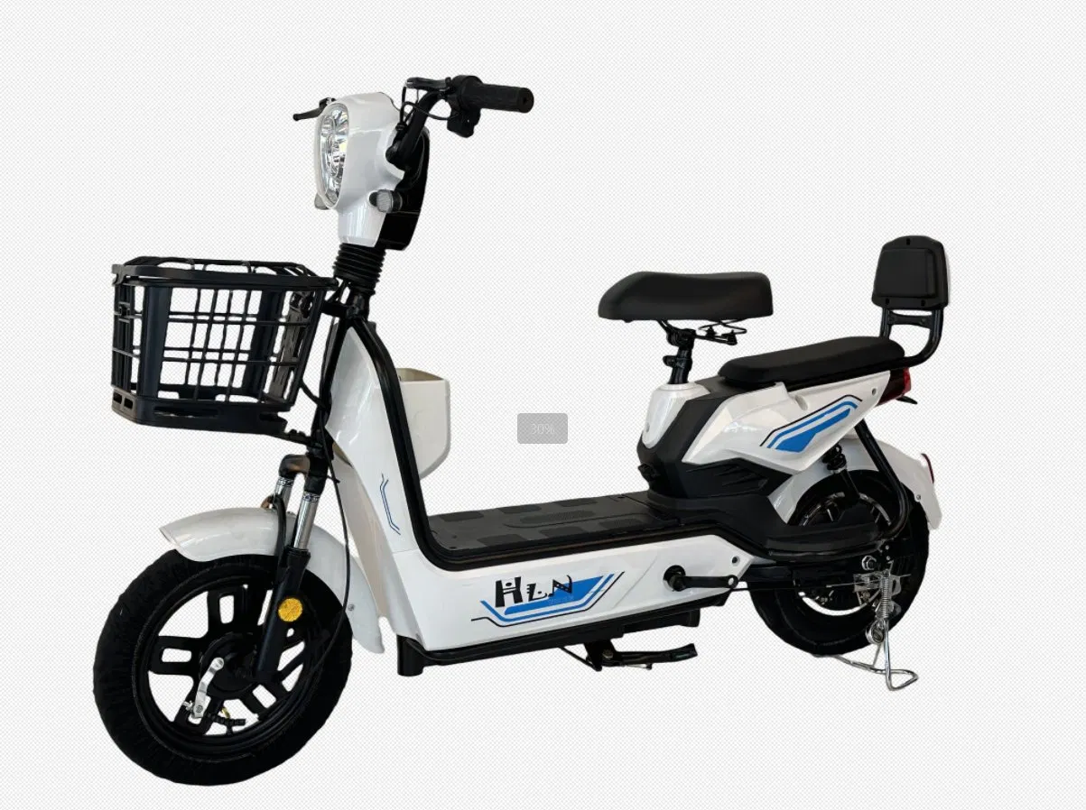 Custom OEM Electric Bike with 6-8 Hours Charging Time and Sine Wave Controller