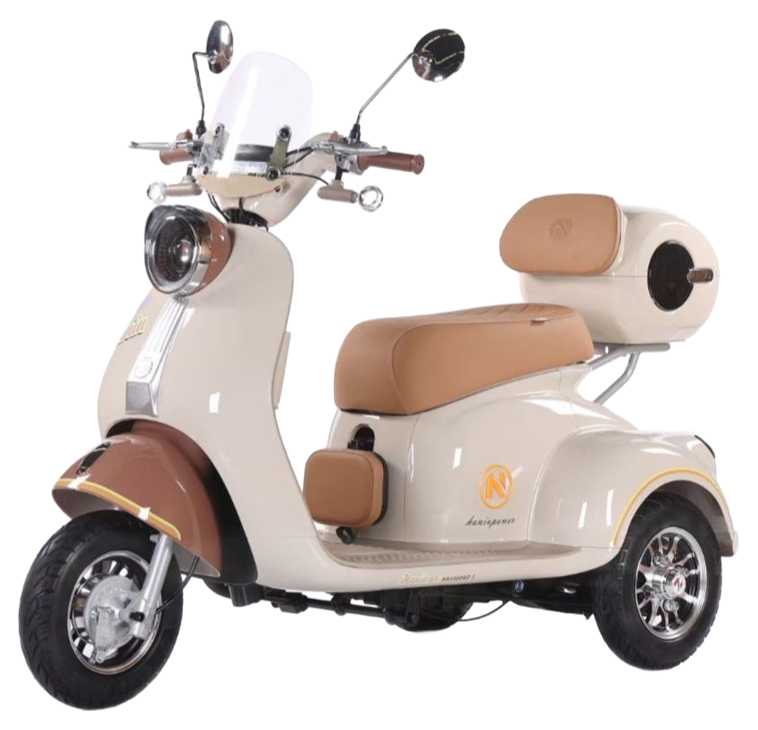 Factory Supply Q5 Electric Tricycle with 35km/h Max Speed and Hydraulic Shock Absorber