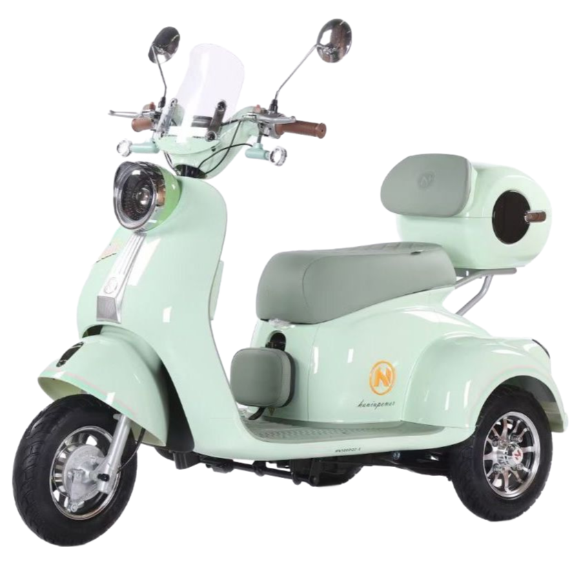 Factory Supply Q5 Electric Tricycle with 35km/h Max Speed and Hydraulic Shock Absorber