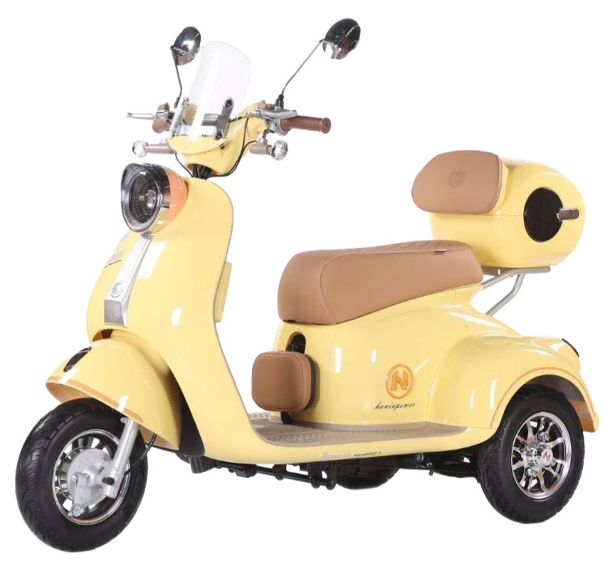 Factory Supply Q5 Electric Tricycle with 35km/h Max Speed and Hydraulic Shock Absorber