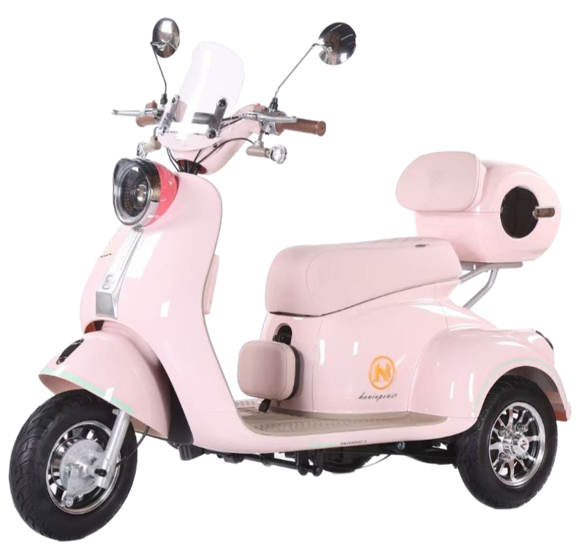 Factory Supply Q5 Electric Tricycle with 35km/h Max Speed and Hydraulic Shock Absorber
