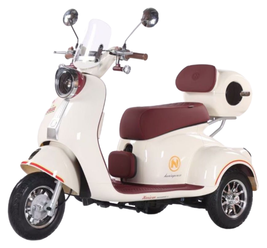 Factory Supply Q5 Electric Tricycle with 35km/h Max Speed and Hydraulic Shock Absorber