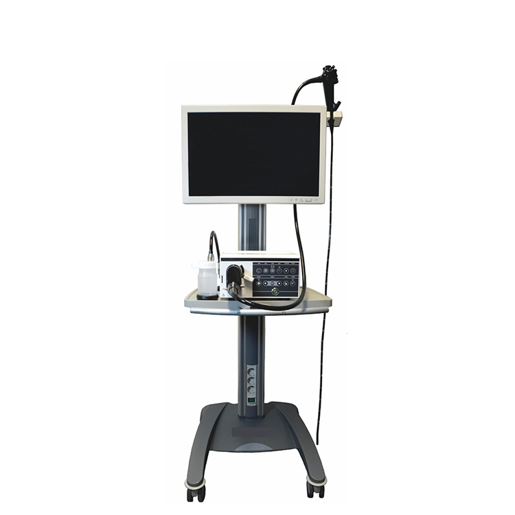 Premium Veterinary Surgical Equipment - Vet Anesthesia Machines, Operation Tables & Ultrasound Scanners