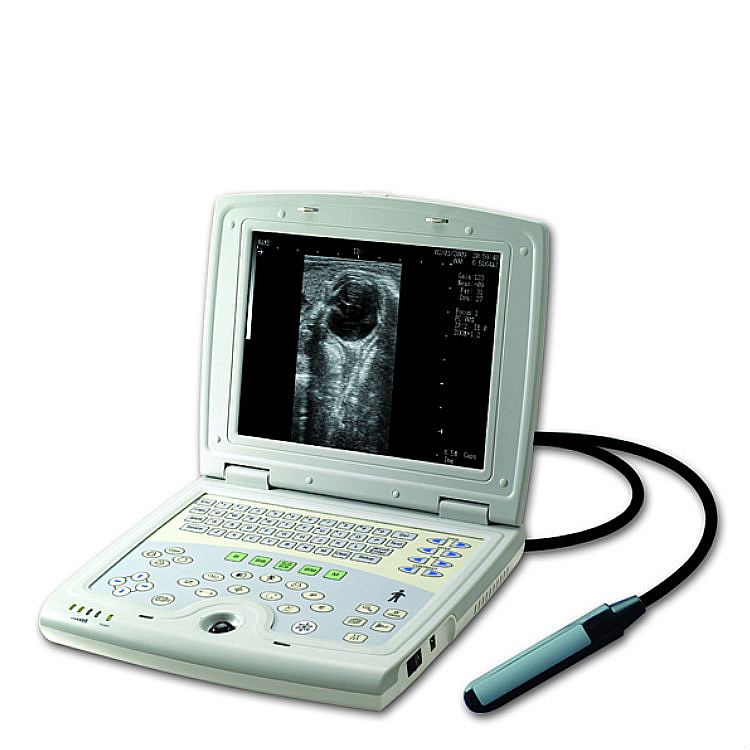 Premium Veterinary Surgical Equipment - Vet Anesthesia Machines, Operation Tables & Ultrasound Scanners