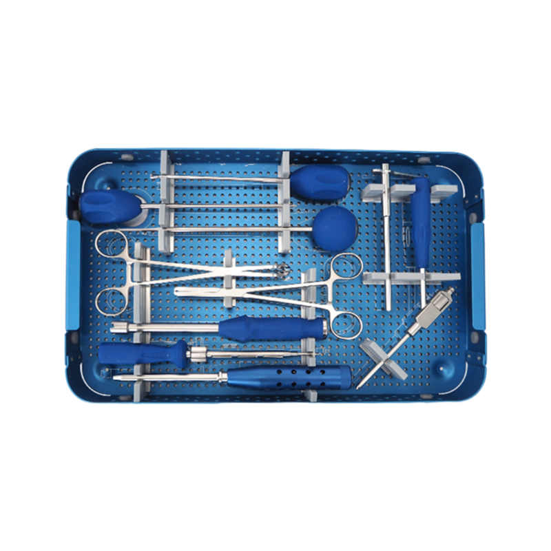 Veterinary Orthopedic Spine Pedicle Screw System - Stainless Steel Spinal Implant Fixation for Small Animals
