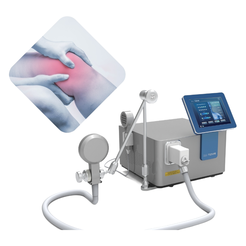 Wholesale PEMF Therapy Equipment for Horse Pain Management and Recovery