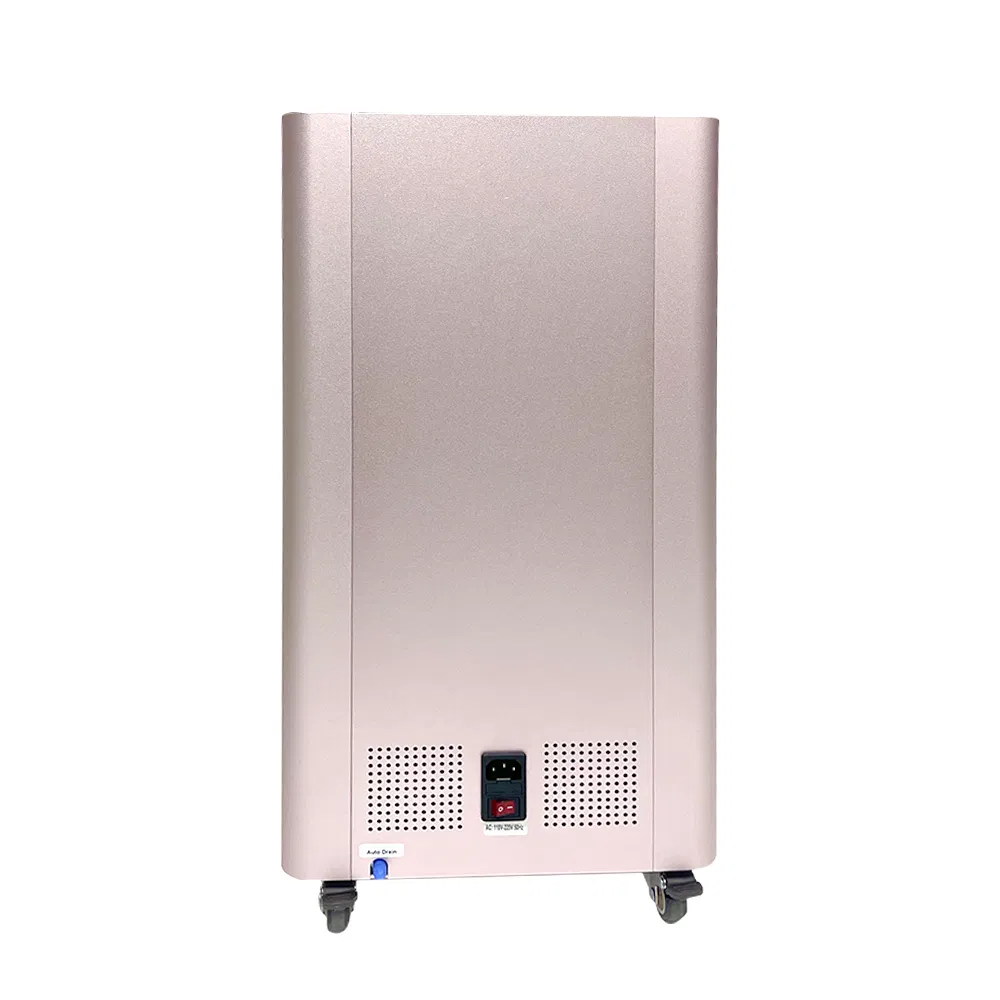 Professional Hydrogen Oxygen Inhalation Machine with 99.996% Purity for Health Improvement