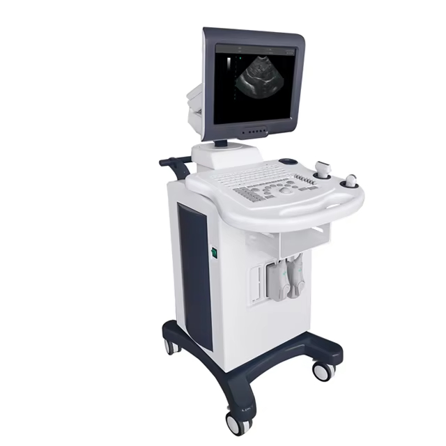 Professional Veterinary Ultrasound Scanner with Tissue Harmonic Imaging and Triplex Mode
