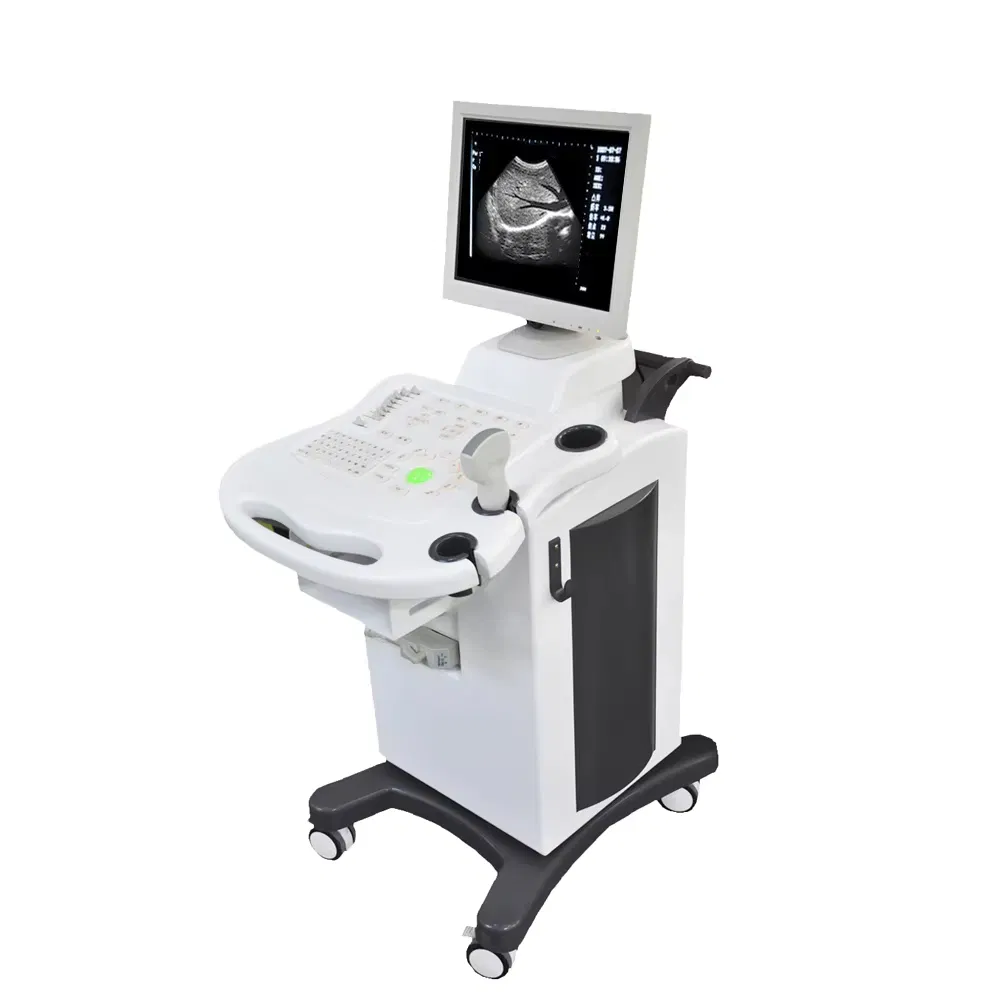 Professional Veterinary Ultrasound Scanner with Tissue Harmonic Imaging and Triplex Mode