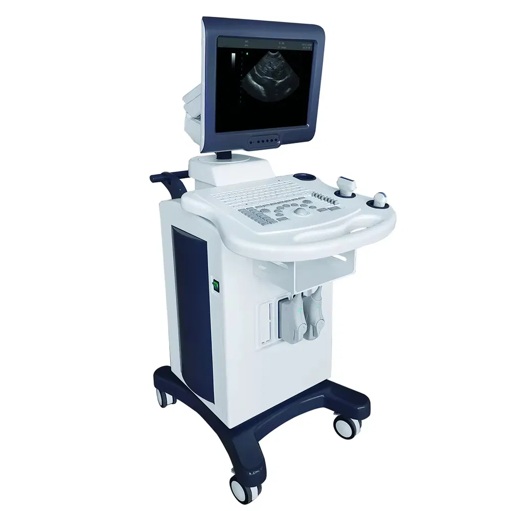 Professional Veterinary Ultrasound Scanner with Tissue Harmonic Imaging and Triplex Mode