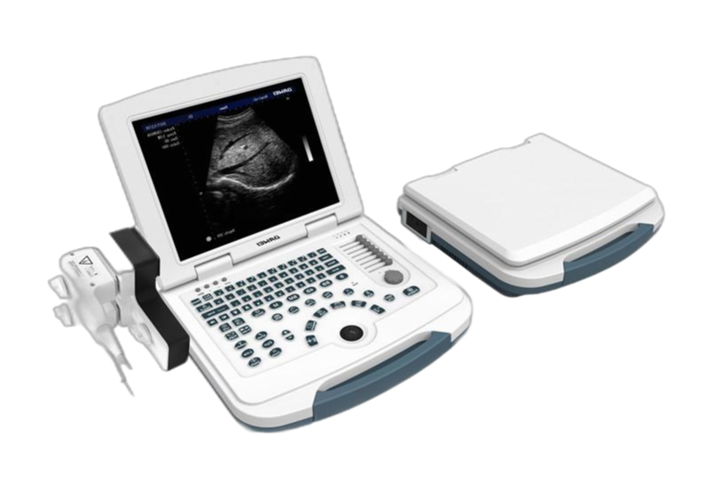 DW-580 B&W Ultrasonic Diagnostic Apparatus with 12.1