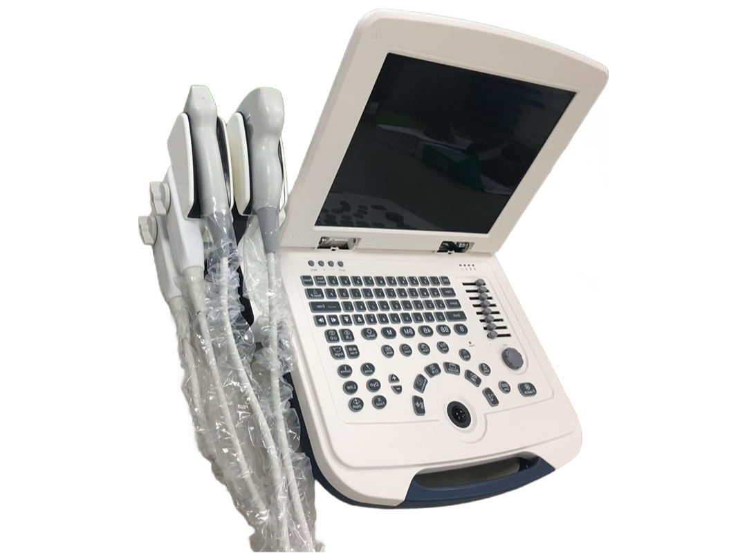DW-580 B&W Ultrasonic Diagnostic Apparatus with 12.1" LED Display for Medical Imaging