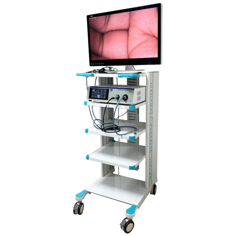 Factory Supply 4K Endoscope Camera with Advanced Image Processing and Noise Reduction