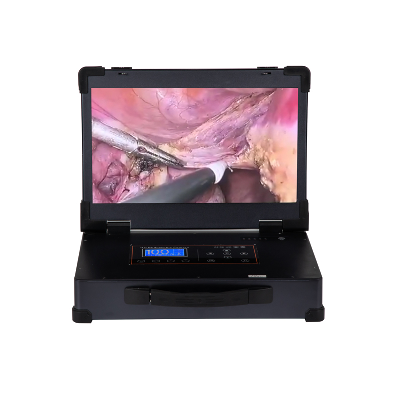 Customizable HD Endoscope Camera System with 17.3" Monitor for Surgical Applications