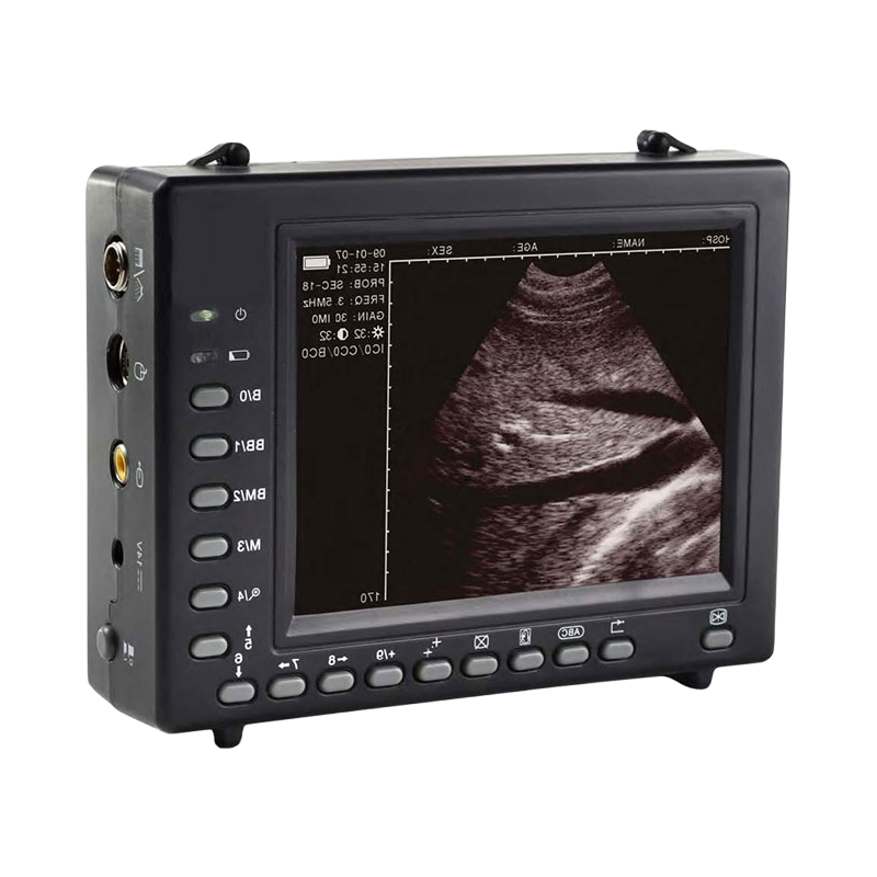 CE Certified Veterinary Ultrasound System B-2000 with Waterproof Probe Design