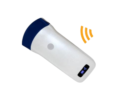 CE FDA ISO13485 Certified L5C Convex Probe for Professional Medical Imaging Equipment
