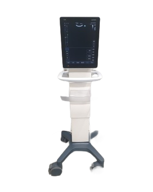 High-Quality TE7S Diagnostic Ultrasound Machine with 17/19" Screen Options for Clinics