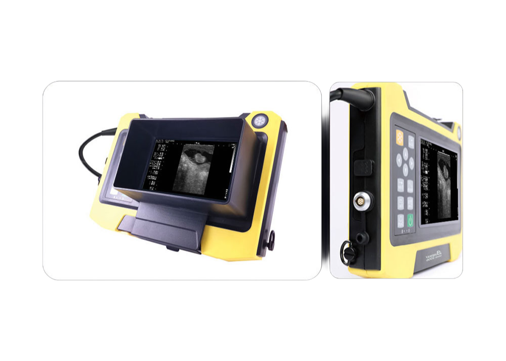 128-Element Transrectal Probe Veterinary Ultrasound Machine for Large Animals