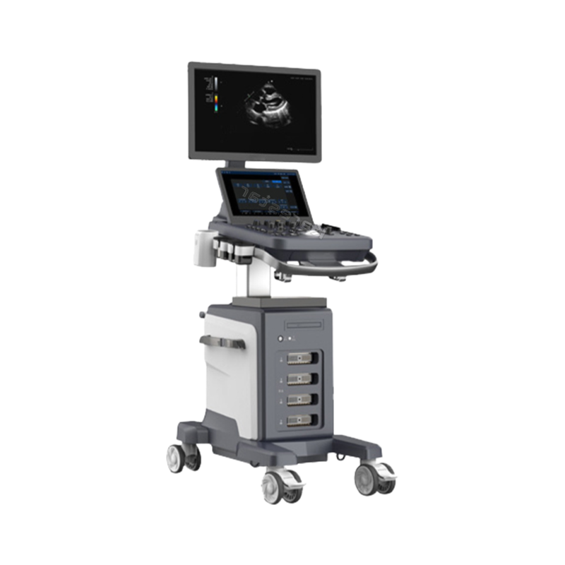 High-Performance Hospital Trolley Ultrasound Machine with 21.5-Inch Monitor and Touch Screen