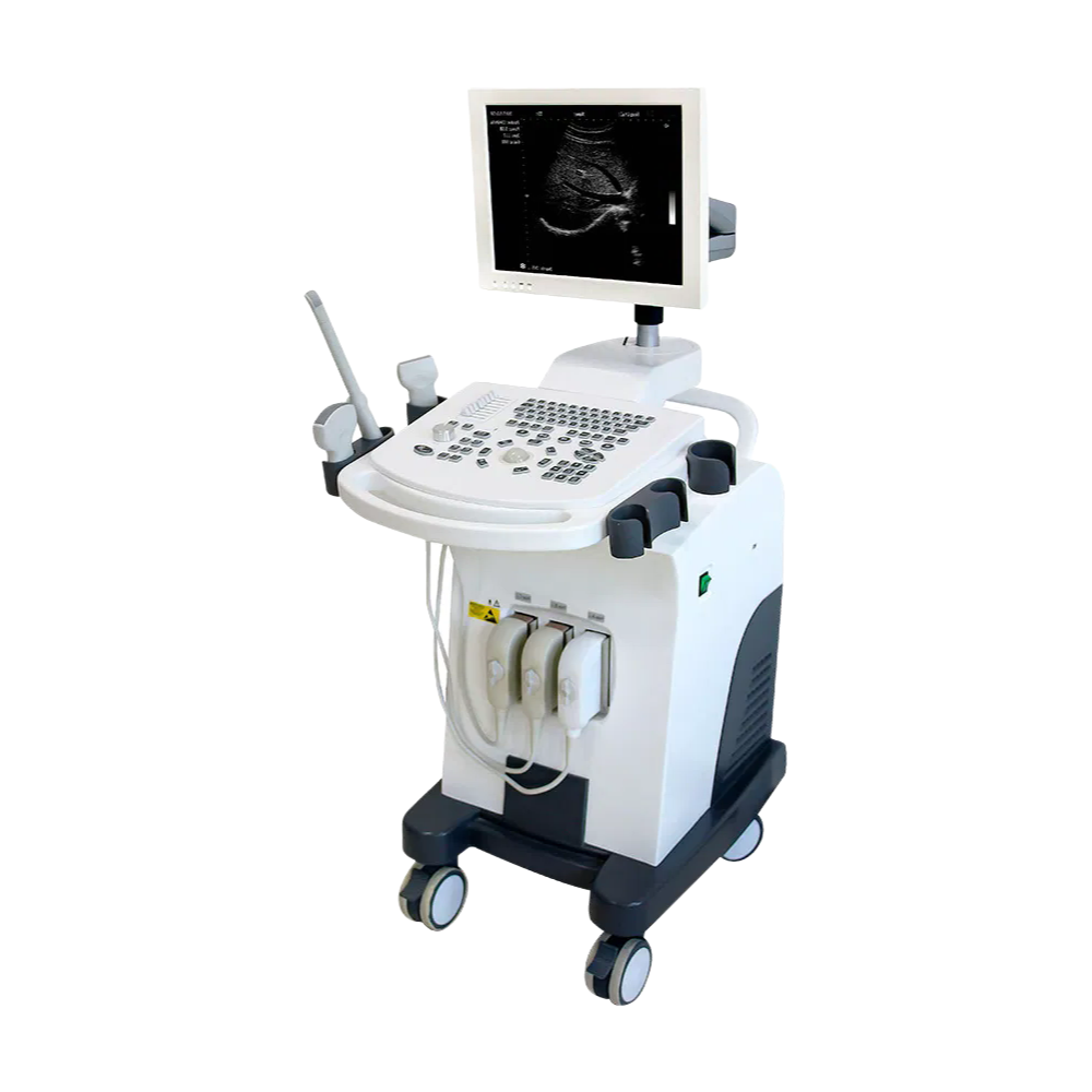Customizable Leytemed LTUB48V Veterinary Ultrasound - Full Digital, PW Doppler, 20 Body Marks for Veterinary Clinics (Wholesale/Factory)