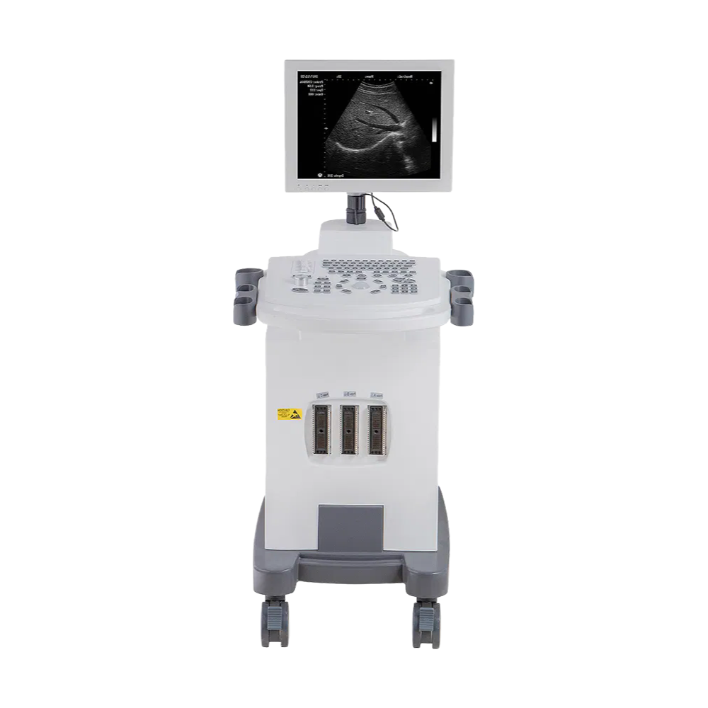 Customizable Leytemed LTUB48V Veterinary Ultrasound - Full Digital, PW Doppler, 20 Body Marks for Veterinary Clinics (Wholesale/Factory)