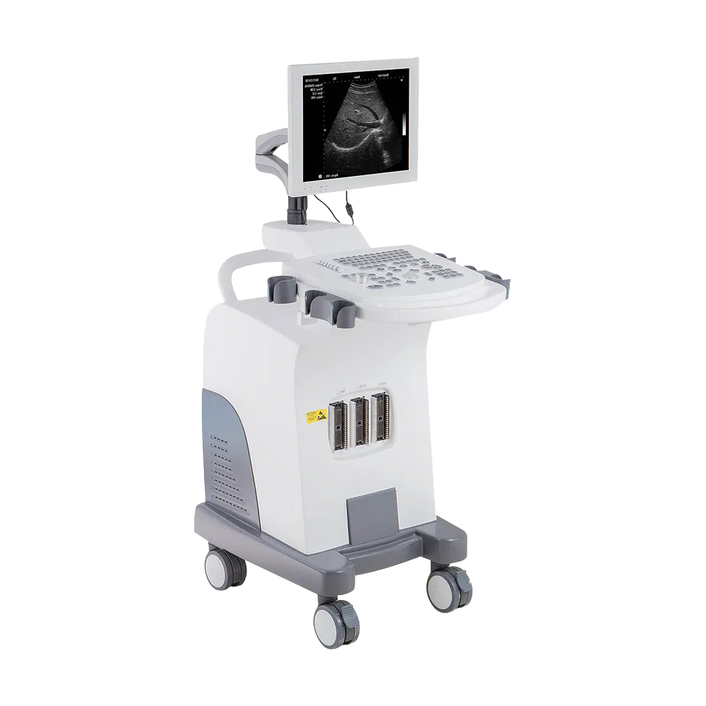 Customizable Leytemed LTUB48V Veterinary Ultrasound - Full Digital, PW Doppler, 20 Body Marks for Veterinary Clinics (Wholesale/Factory)