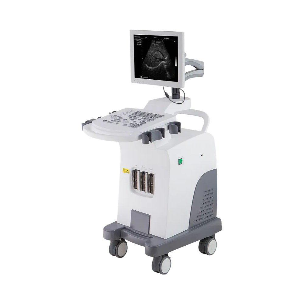 Customizable Leytemed LTUB48V Veterinary Ultrasound - Full Digital, PW Doppler, 20 Body Marks for Veterinary Clinics (Wholesale/Factory)