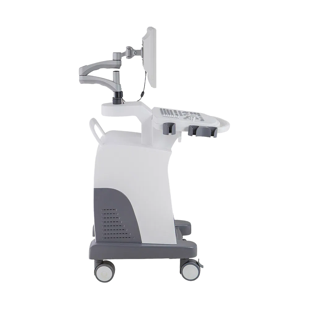 Customizable Leytemed LTUB48V Veterinary Ultrasound - Full Digital, PW Doppler, 20 Body Marks for Veterinary Clinics (Wholesale/Factory)