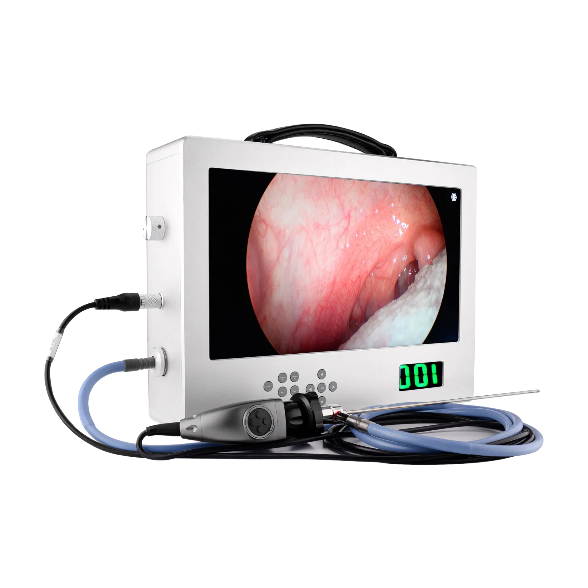Professional 1080P Endoscopy Camera System with 80W LED Light Source - OEM/ODM Available