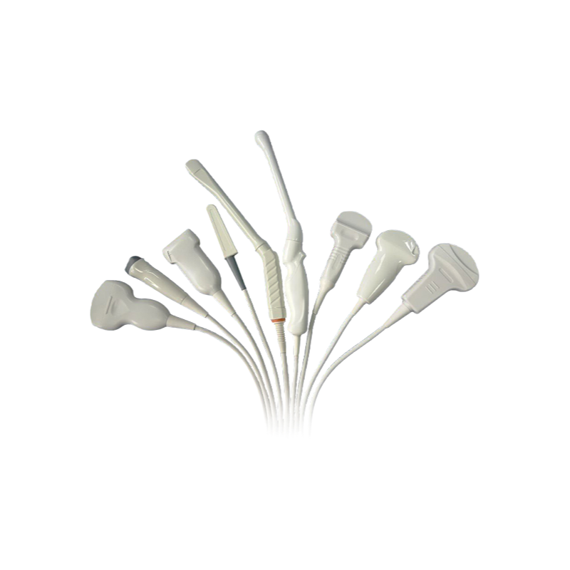 Professional Medical Ultrasound Probe C2-4/30R for OB/GYN and Urological Exams