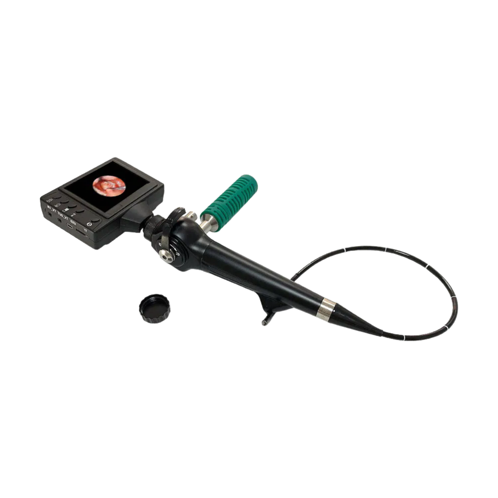 High-Quality Portable Video ENT Nasopharyngoscope Bronchoscope Cystoscope Hysteroscope for Medical Use