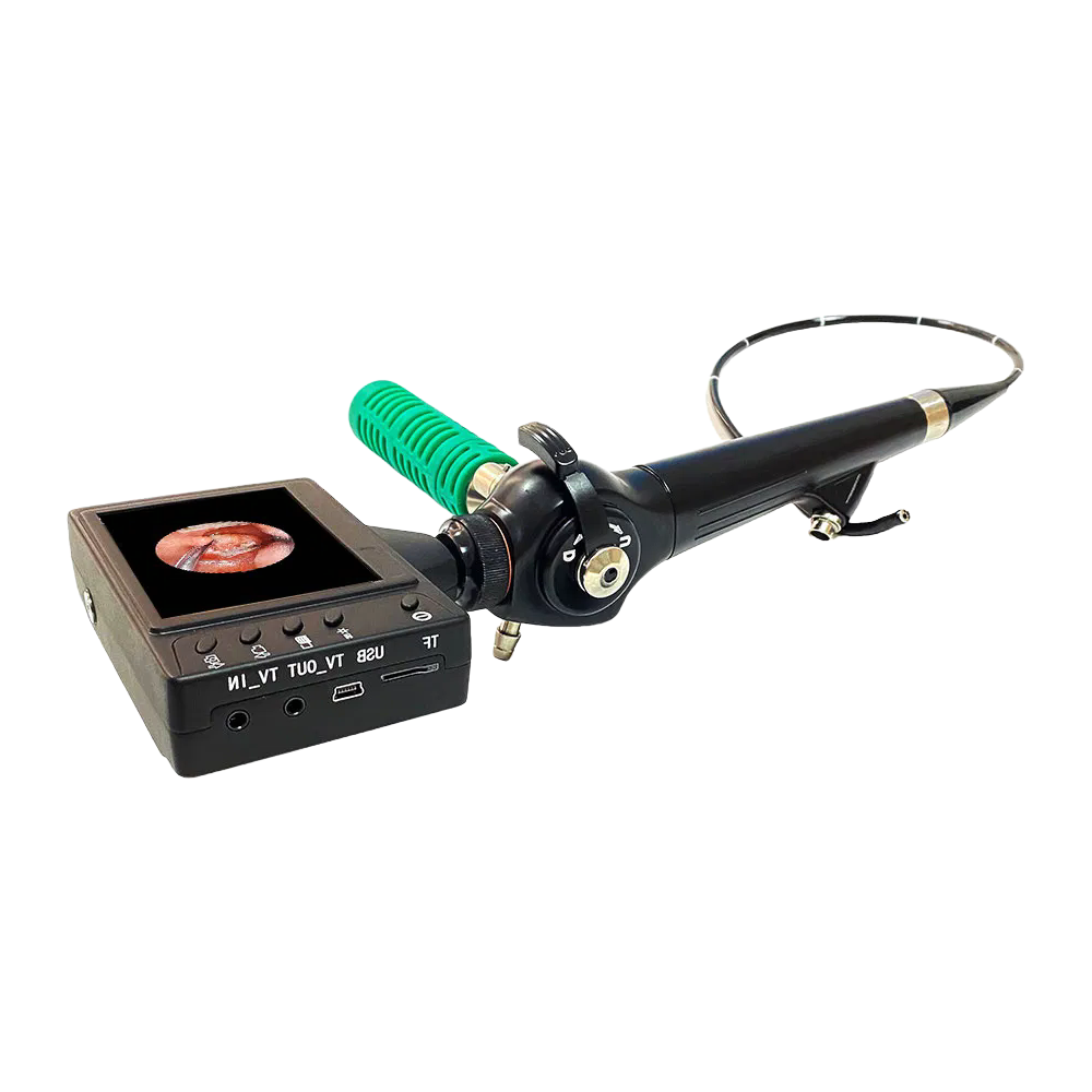 High-Quality Portable Video ENT Nasopharyngoscope Bronchoscope Cystoscope Hysteroscope for Medical Use