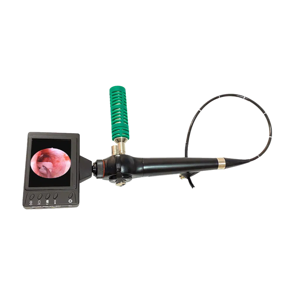 High-Quality Portable Video ENT Nasopharyngoscope Bronchoscope Cystoscope Hysteroscope for Medical Use