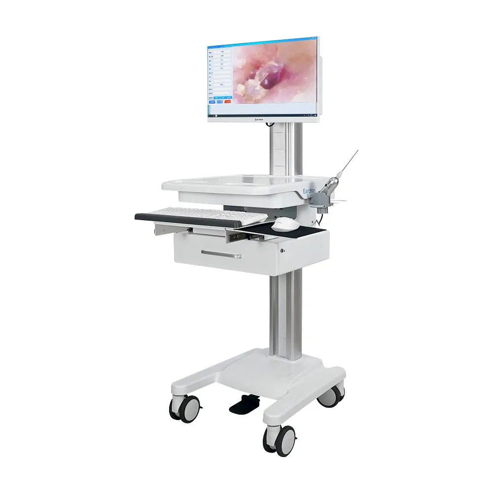 Wholesale Disposable Endoscope Kit with LED Light Source and i3 Processor