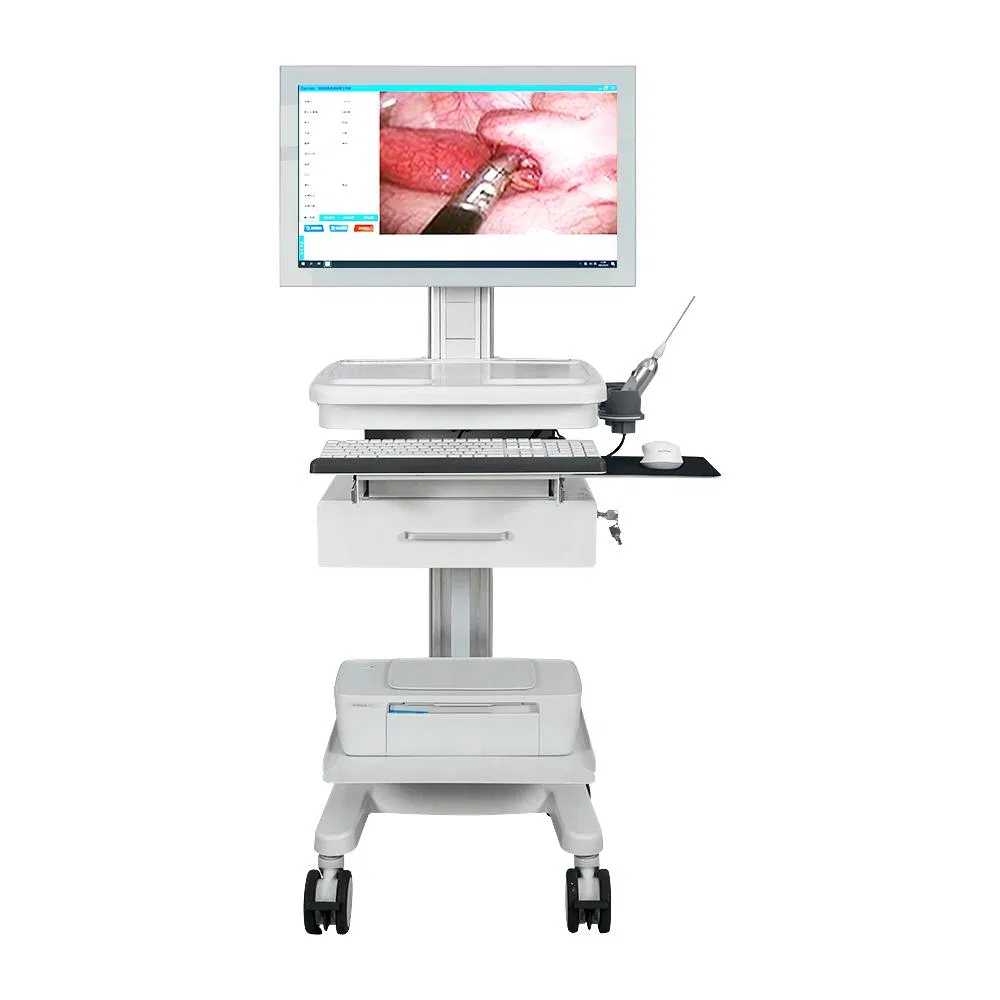 Wholesale Disposable Endoscope Kit with LED Light Source and i3 Processor