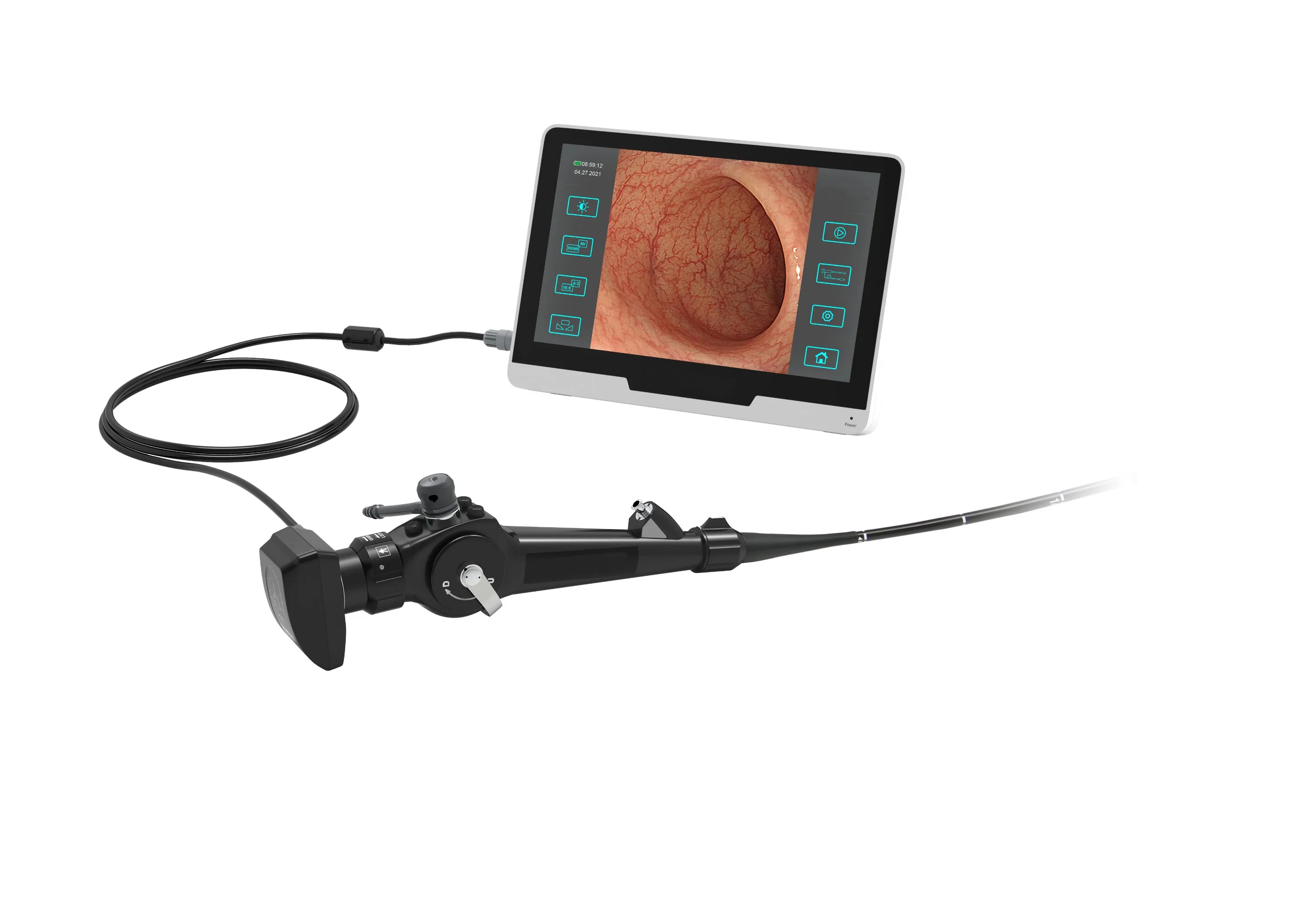 High Quality 250H Veterinary Endoscope with 4-Way Angulation and Slim Diameter