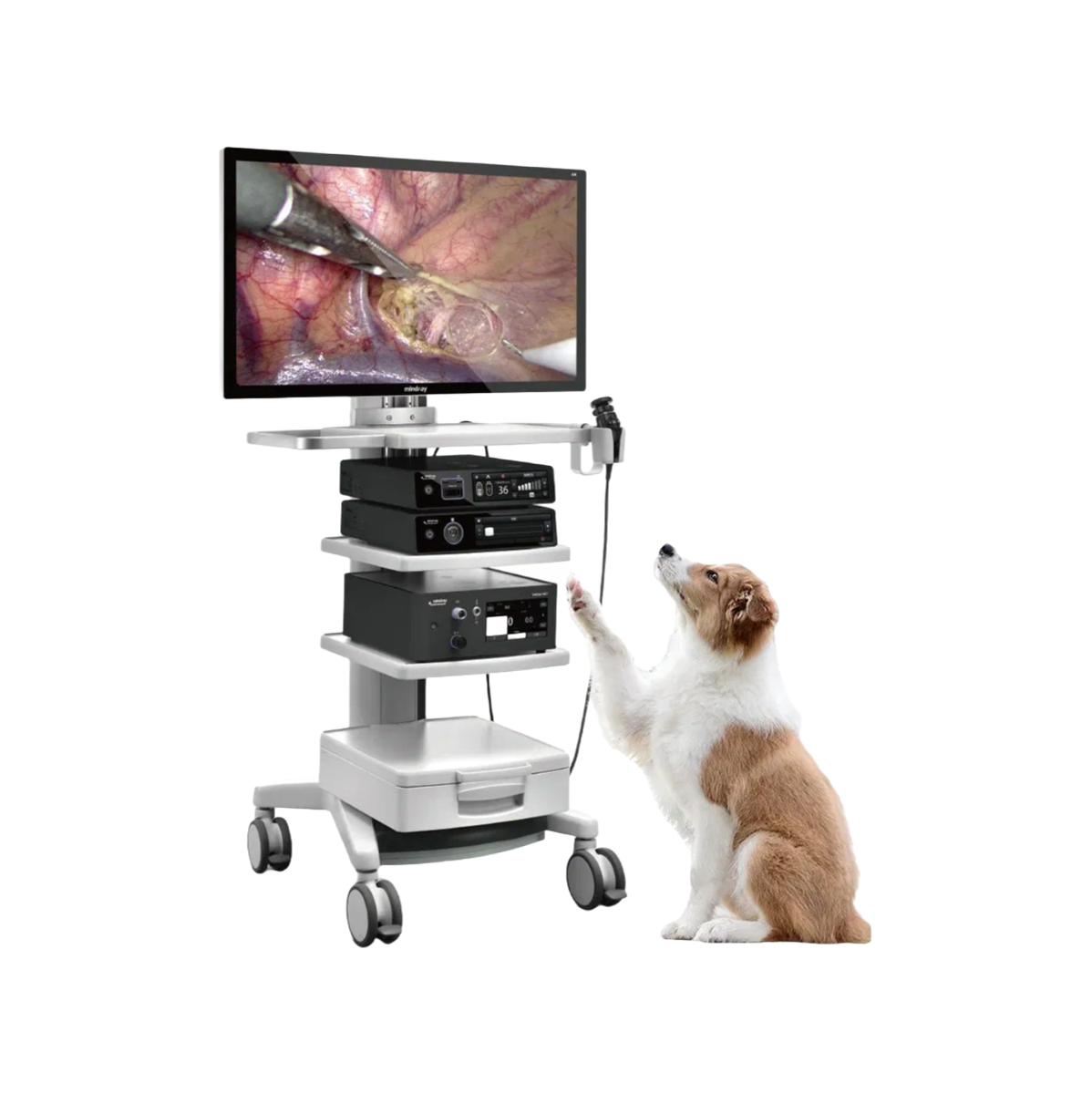 High-Quality Mindray Vetina CS7 Veterinary Endoscopy Camera System with Advanced Bookmark Function