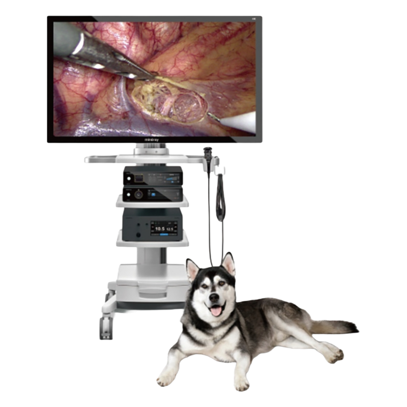 High-Quality Mindray Vetina CS7 Veterinary Endoscopy Camera System with Advanced Bookmark Function