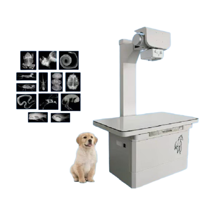 Portable Veterinary X-Ray Machine 5kW for Small Animals with DR System Compatibility