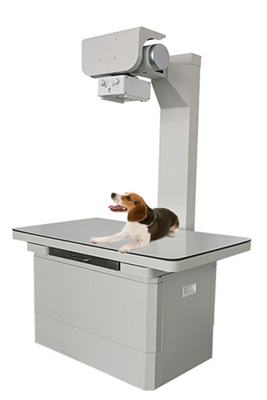 Portable Veterinary X-Ray Machine 5kW for Small Animals with DR System Compatibility